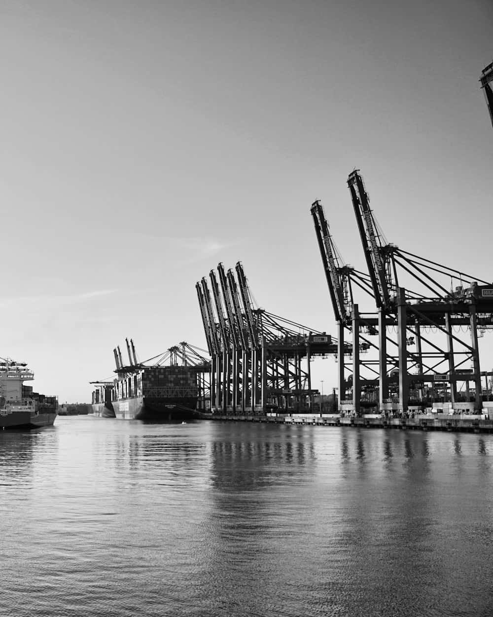 Container cranes standing over the water at a working port